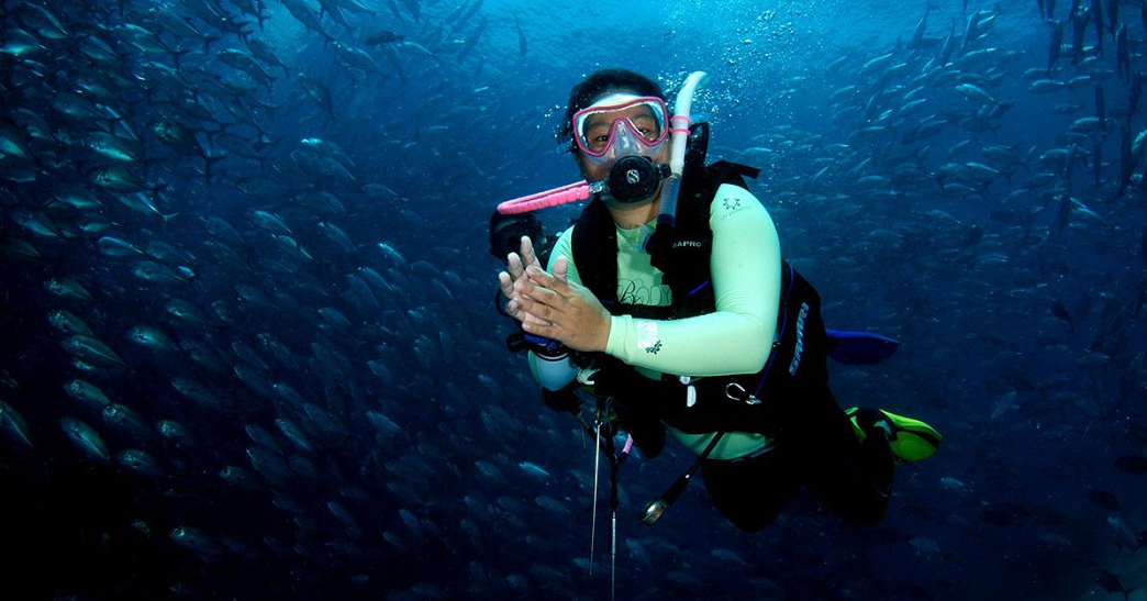 高性价比的潜水之旅——婆罗洲潜水马布度假村，快来拥抱璀璨的海洋世界吧！