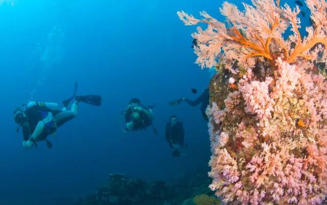 泰国潜水 | 只有半年开放的潜水圣地，全球迷人旅行地前十，你去过这样的潜水天堂吗？