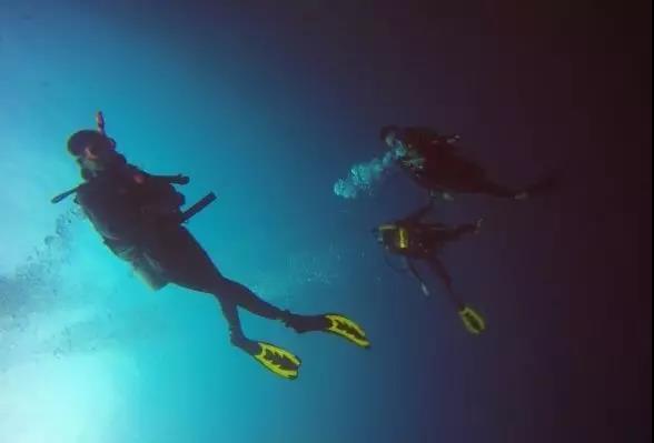 马布平台潜水攻略|体验独一无二的潜水旅，拥抱缤纷的诗巴丹！