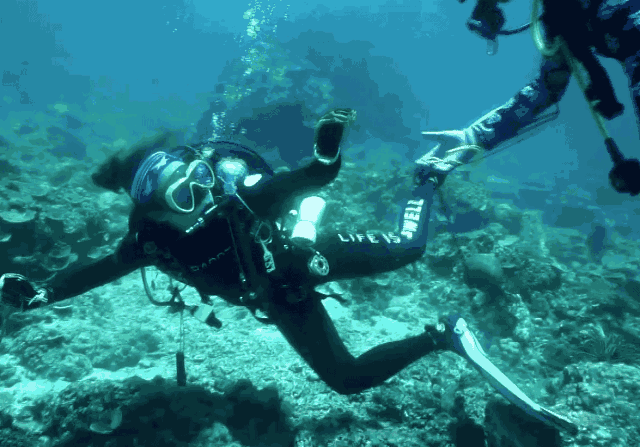 仙本那潜水免费|仙本那最适合新手的潜水点——军舰岛！免费体验潜水大赠送！
