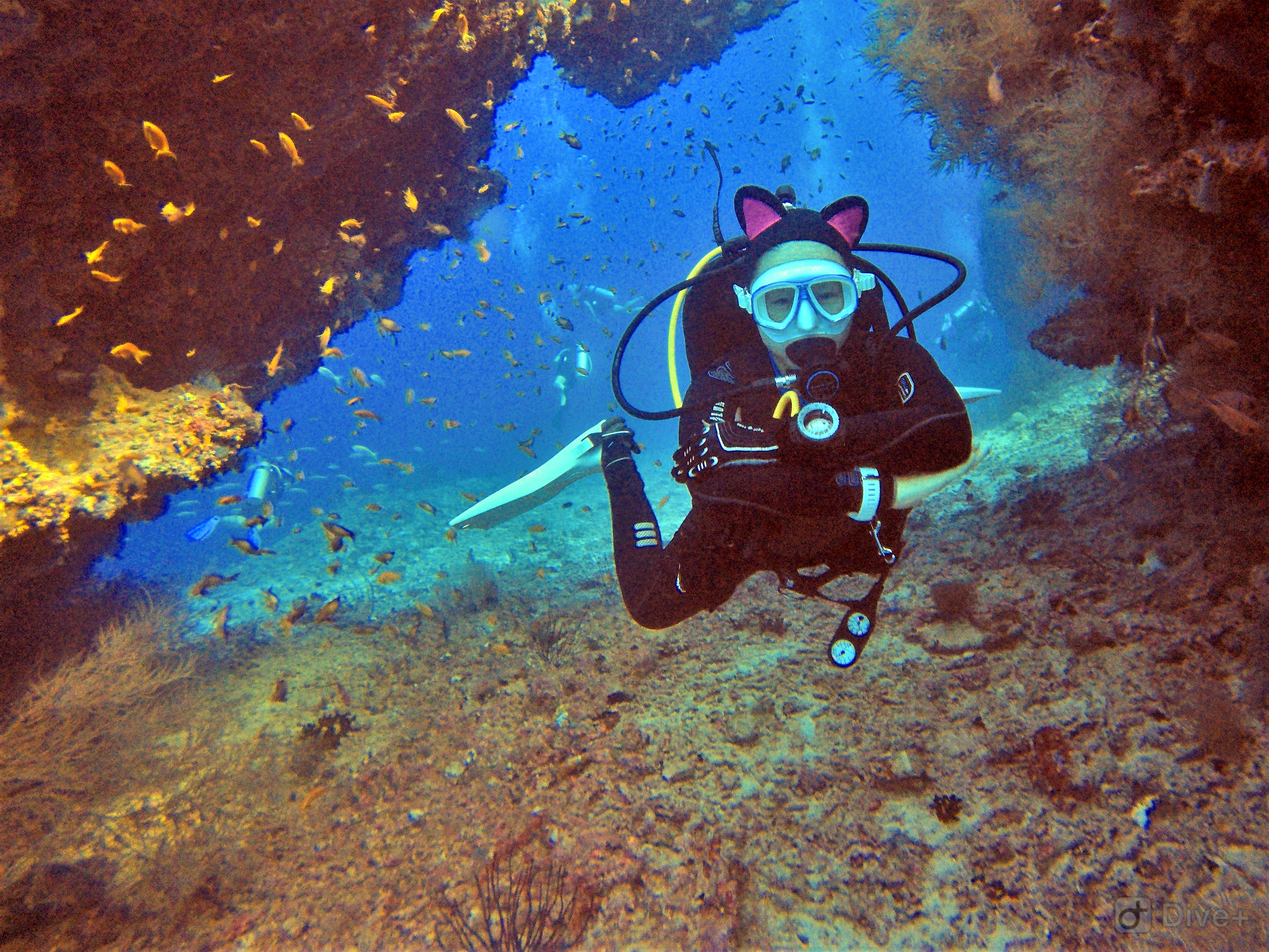 人物专访|女潜水员：热爱潜水，是因为热爱海洋也敬畏大海！