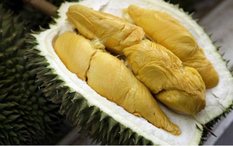 仙本那美食攻略|马达京美食推荐：手臂粗的皮皮虾、香飘十里的大榴莲、马来特色肉骨茶
