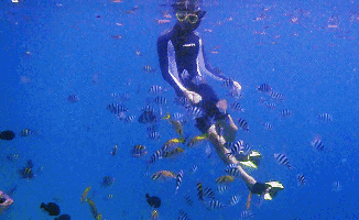 诗巴潜水攻略|埋葬着潜水的灵魂！潜水员不得不来的潜水圣地！