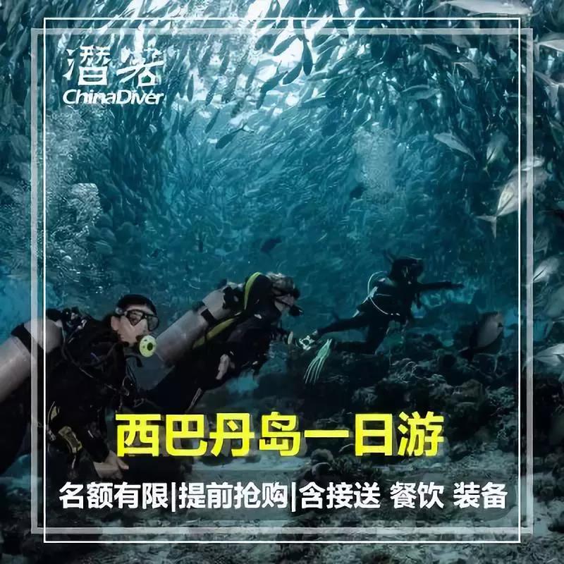 诗巴丹潜水攻略|诗巴丹潜点全介绍，如何秒速拿到诗巴丹名额？