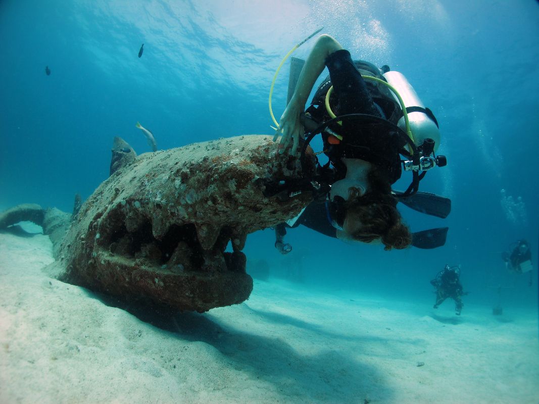 东南亚潜水指南|“世界潜水员工厂”涛岛主要潜点介绍！如何在涛岛邂逅鲸鲨！