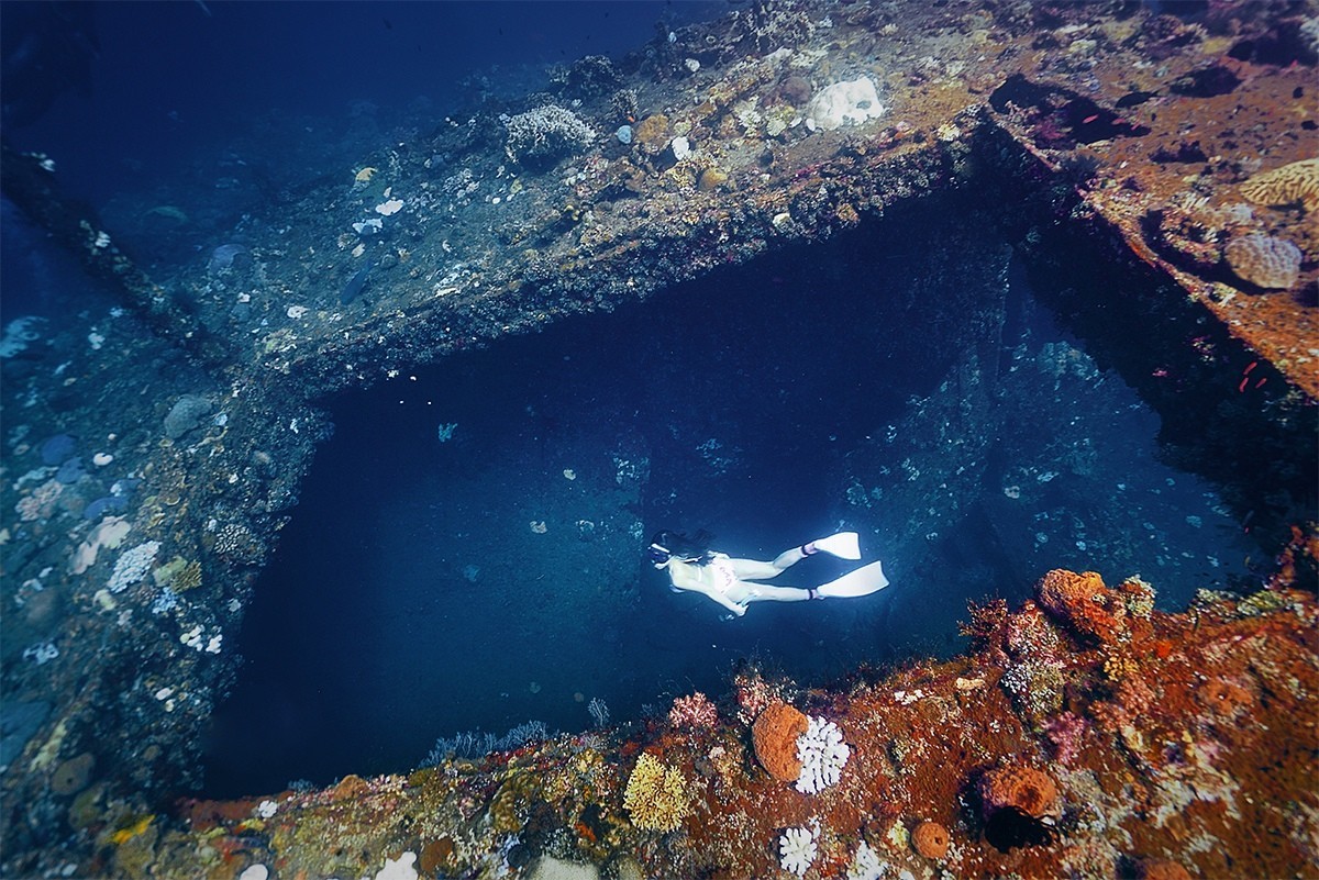 巴厘岛潜水指南|图蓝本潜点介绍，除了沉船，它更令人惊喜！