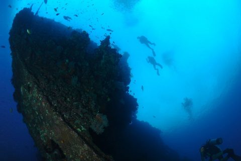 巴厘岛潜水指南|图蓝本潜点介绍，除了沉船，它更令人惊喜！