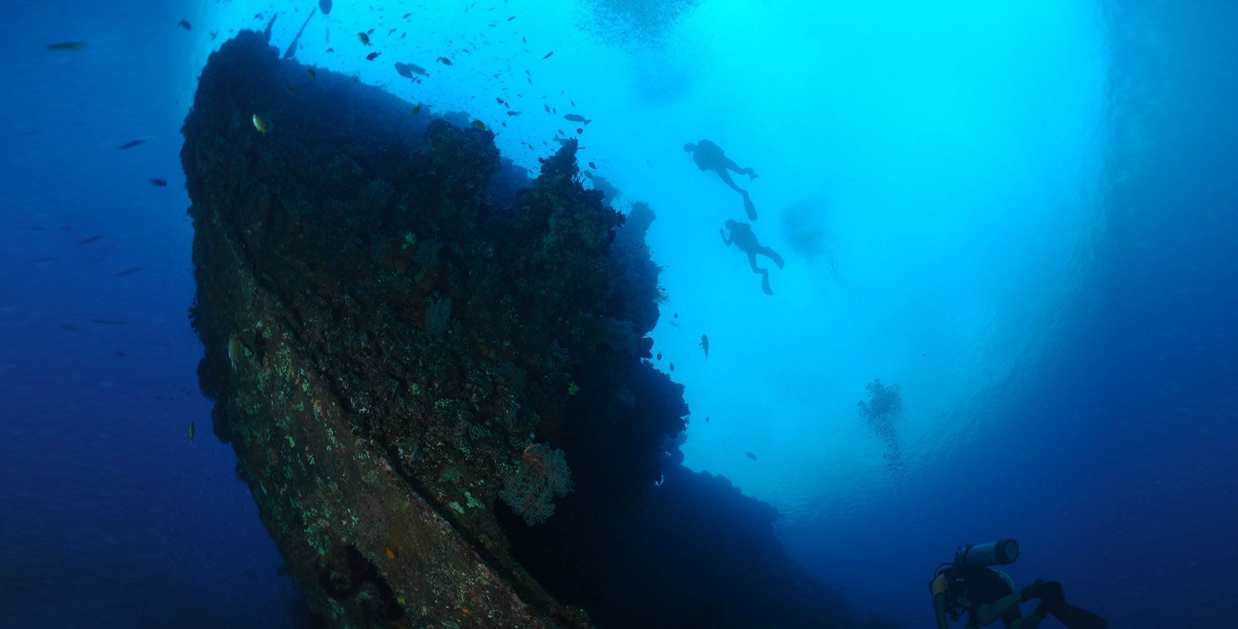 小白潜水考证潜店推荐！一起去海底探险！