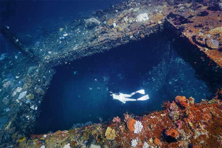 巴厘岛图蓝本潜点攻略|除了“自由号”沉船，以下地方更惊喜！