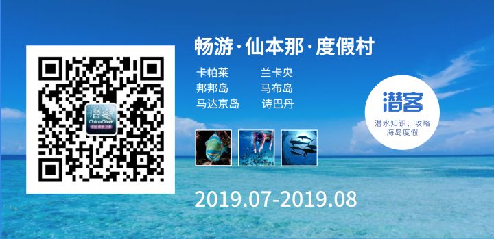 上帝打翻的水族馆！来潜水过的人一生都染上“蓝毒”！