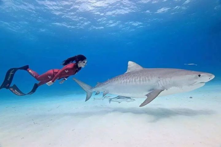 话题｜陈学冬的女人绝不认输，我要学潜水！（含教学视频）