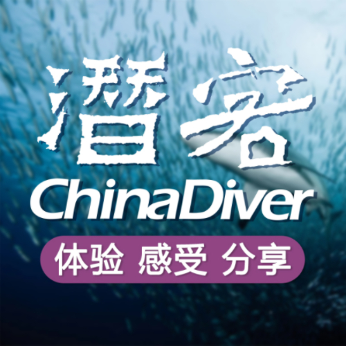 chinadiver